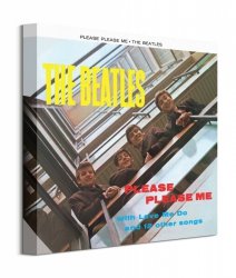 The Beatles Please Please Me - obraz na płótnie
