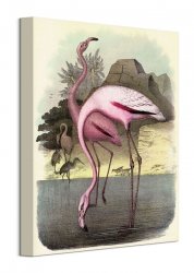 Vintage Flamingos - obraz na płótnie