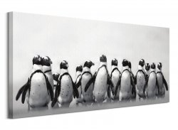 Stado Pingwinów - obraz na płótnie