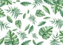 Tapeta w Tropikalne zielone liście - listki - 183x254cm 