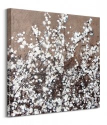 White Spring Blossom - obraz na płótnie