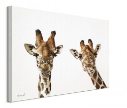 Dwie żyrafy - obraz na płótnie