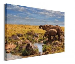 Elephants of Maasai Mara - obraz na płótnie