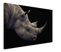 Nosorożec - obraz na płótnie
