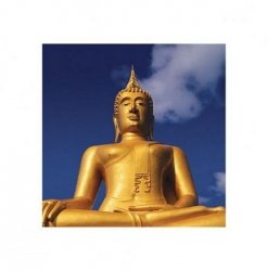 Złoty Budda - reprodukcja