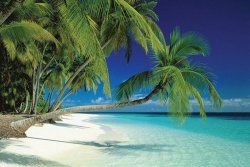 Maldives (plaża) - plakat