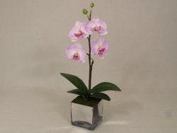 Sztuczny storczyk - Orchidea - W doniczce - 25x55cm 