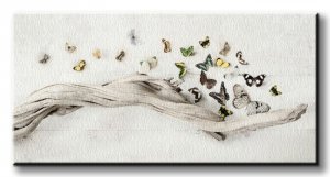Obraz na płótnie - Motyle - Drift of Butterflies - 30x60 cm