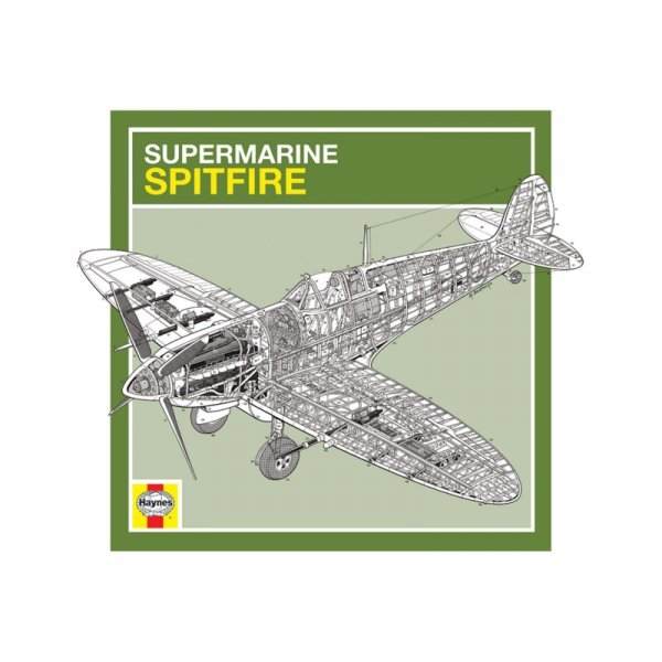Haynes (Spitfire) - reprodukcja