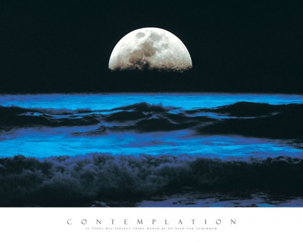 Contemplation - reprodukcja