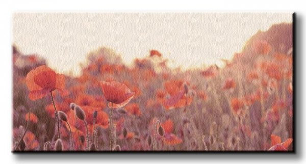 Field of Poppies - Obraz na płótnie