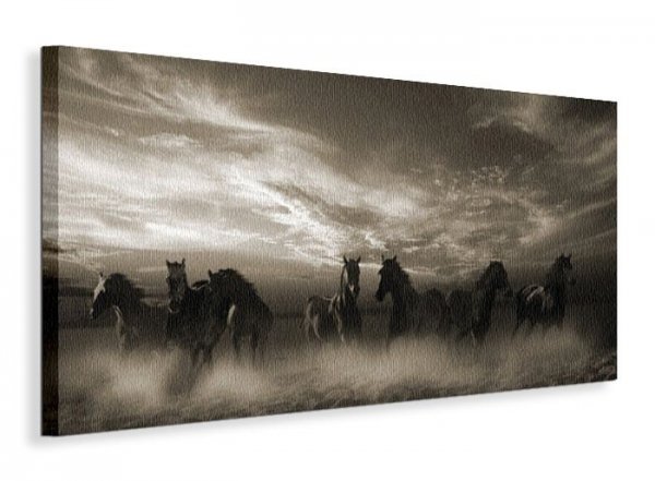 Obraz na płótnie - Konie - Wild Stampede - 30x60 cm