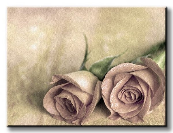 Samotne róże - Obraz na płótnie