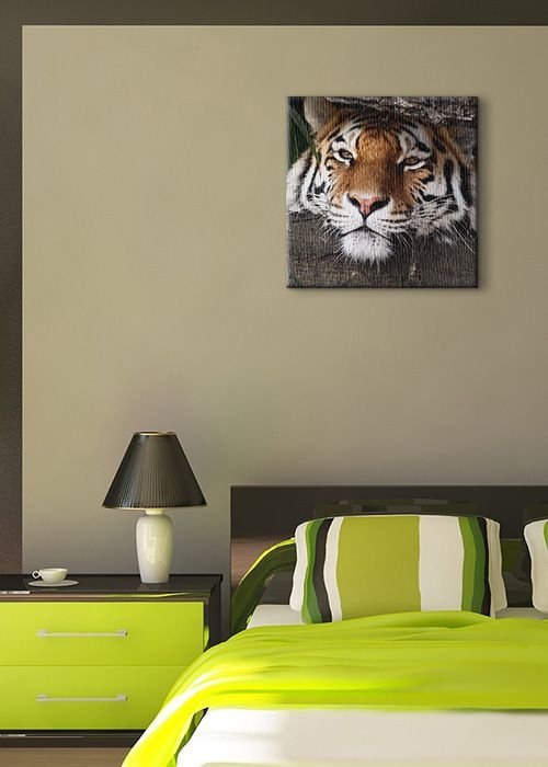 Obraz ścienny - Ukryty tygrys - 40x40cm