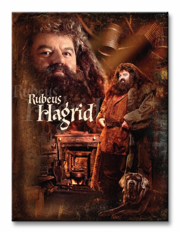 Harry Potter (Hagrid) - Obraz na płótnie