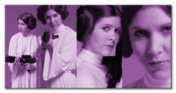 Obraz na płótnie - Star Wars (Princess Leia Pose)
