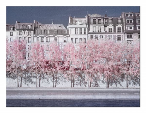 River Seine Infrared, Paris - Obraz na płótnie