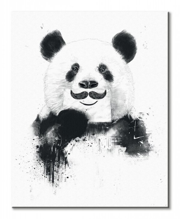 Funny Panda - Obraz na płótnie