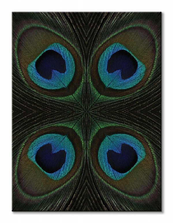 Peacock Feather Quartette - obraz na płótnie