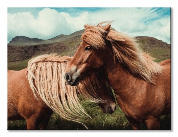 Obraz na scianę - Horses with mane