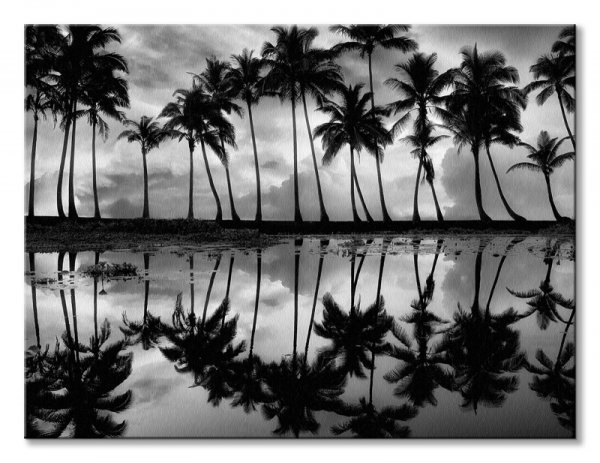 Palm Reflection - obraz na płótnie