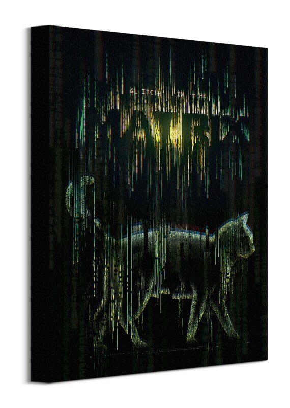 Obraz ścienny - The Matrix Resurrections Cat Glitch - 40x30 cm