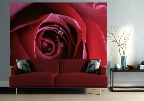 Fototapeta ścienna - Pasja Roksany - 175x115 cm