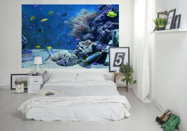 Fototapeta na ścianę - Akwarium - 175x115 cm