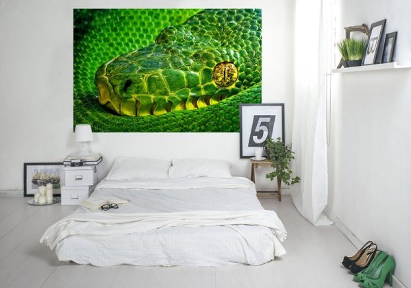 Fototapeta na ścianę - Oczy Węża - 175x115 cm