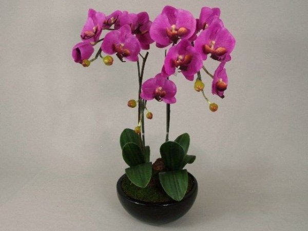 Sztuczny storczyk - Orchidea - W doniczce - 37x65cm - decoart24.pl