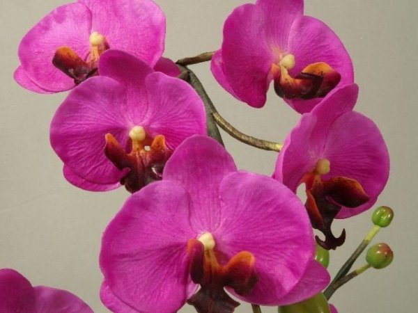 Storczyki sztuczne - Orchidea w doniczce Amarantowy - sklep internetowy decoart24.pl