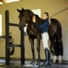 ARIAT SUNSTOPPER 3.0 chłodząca koszulka z ochroną przed słońcem