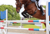 SHIRES EQUESTRIAN ARMA OXI-ZONE Ochraniacze skokowe przednie
