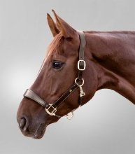 WALDHAUSEN S-LINE ROYAL Kantar skórzany 