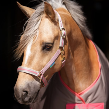 BUCAS DUBLIN Ultralekki kantar z podszyciem dla koni wrażliwych