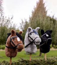 WALDHAUSEN HOBBY HORSE 