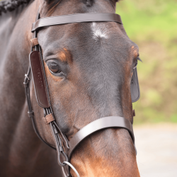 SHIRES EQUESTRIAN VELOCITI GARA BLINKERS Skórzane zaślepki
