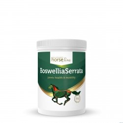 .HorseLinePRO Boswellia Serrata silnie działający preparat przeciwzapalny wzmacniający ścięgna i stawy 900g