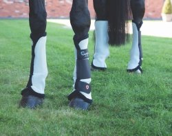 SHIRES EQUESTRIAN ARMA FLY BOOTS Ochraniacze przeciw owadom