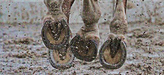 GRUDA - JAK SKUTECZNIE LECZYĆ?