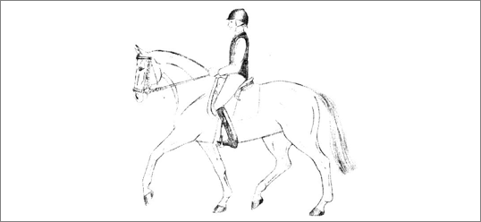 PRAWIDŁOWY DOSIAD JEŹDŹCA