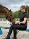 HuleHest SIGNATURE RIDE Legginsy jeździeckie z wysokim stanem i pełnym lejem silikonowym