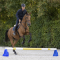 WALDHAUSEN Przeszkoda / Cavaletti dla konia