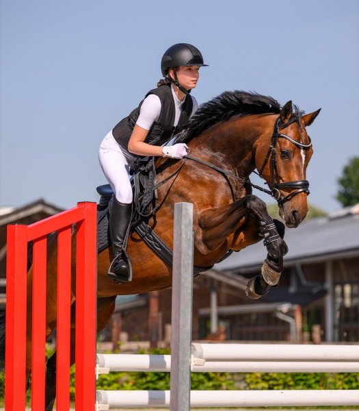 SWING H24 SHINE Kask jeździecki regulowany