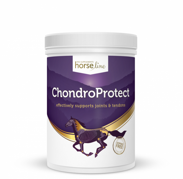 *HorseLinePRO ChondroProtect odżywczy preparat na zdrowe i mocne ścięgna oraz stawy koni 900g