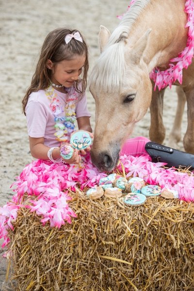 KOŃSKA. CUKIERENKA DONUT SUMMER TIME Smakołyki/Cukierki naturalne dla koni
