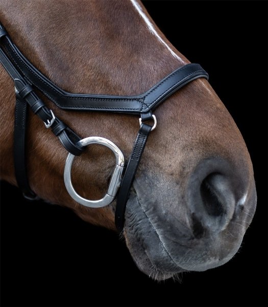 WALDHAUSEN X-LINE BRIDLE RELAXATION Ogłowie anatomiczne