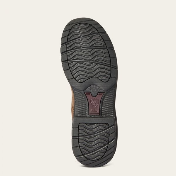 ARIAT BARNYARD TWIN GORE Buty stajenne jeździeckie