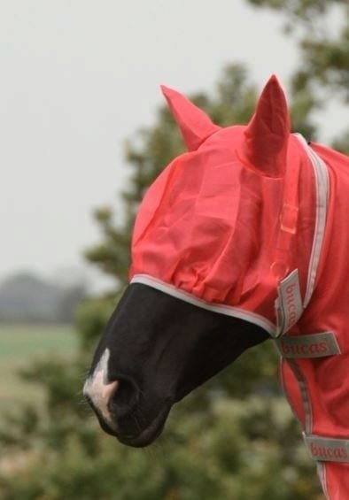 BUCAS FREEDOM FLY MASK Maska przeciw owadom z ochroną na uszy