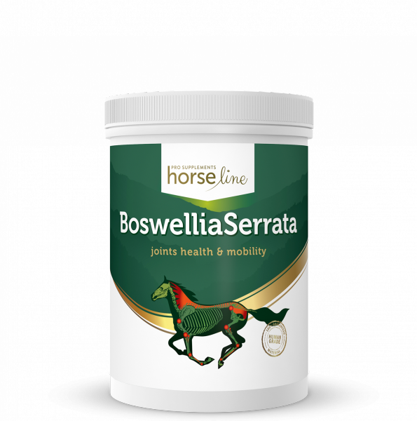 HorseLinePRO Boswellia Serrata silnie działający preparat przeciwzapalny wzmacniający ścięgna i stawy 2kg